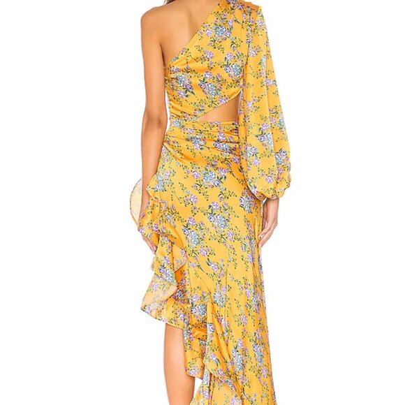 BEAUTIFUL Bronx and Banco Hanna Gown - Size: Small - Picture 3 of 7